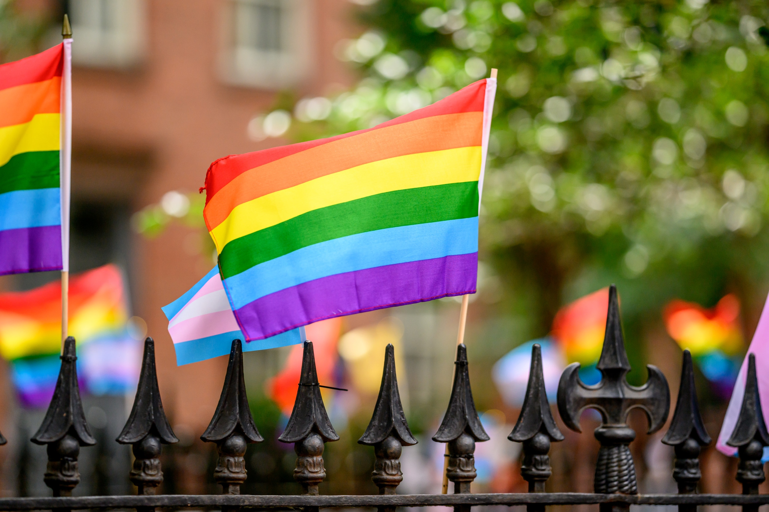 A Lifeline Cut—Ending LGBTQ Youth Suicide Support Puts Lives at Risk