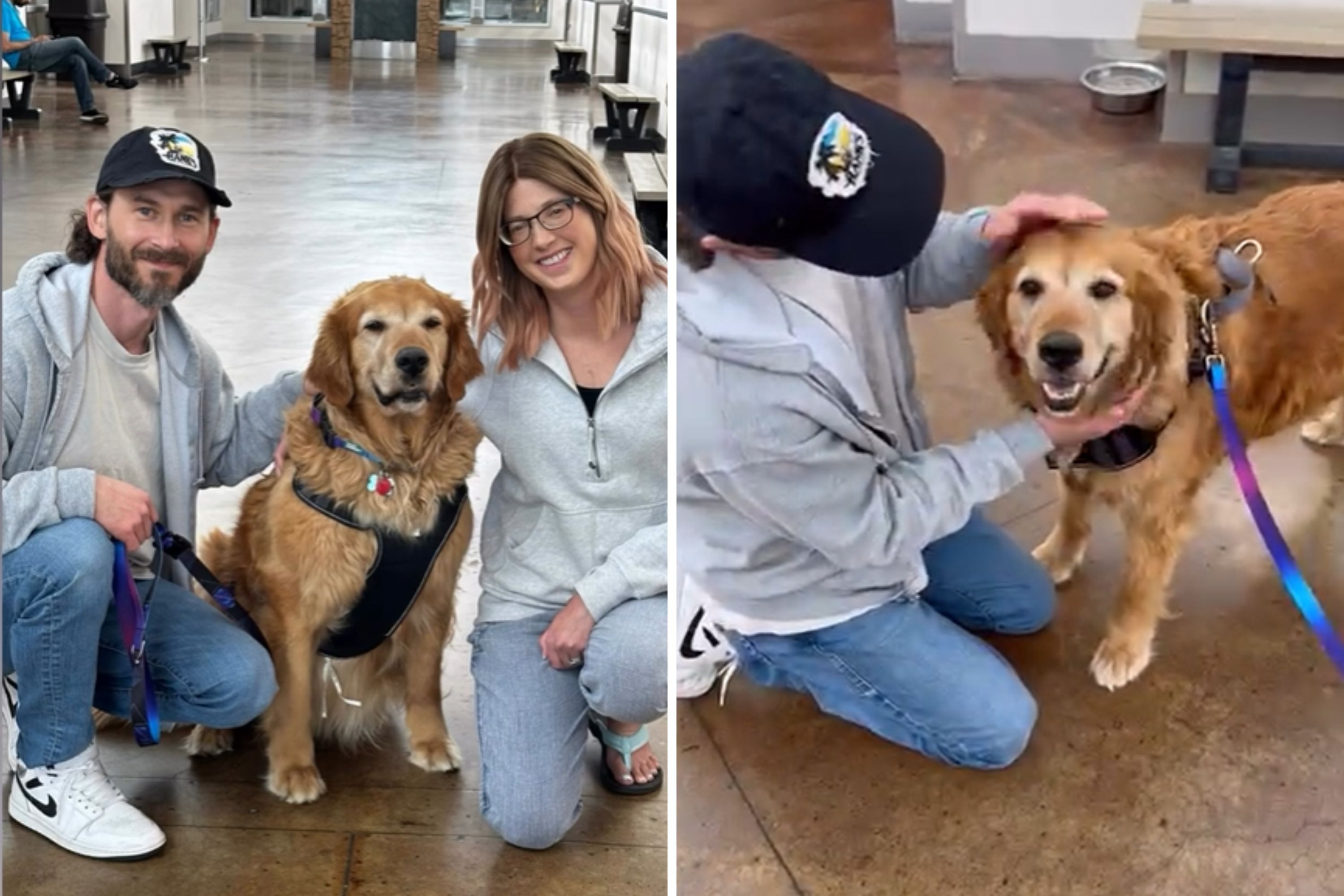 Couple Go to Animal Shelter, Take a Chance on 'Oldest, Goodest' Dog There