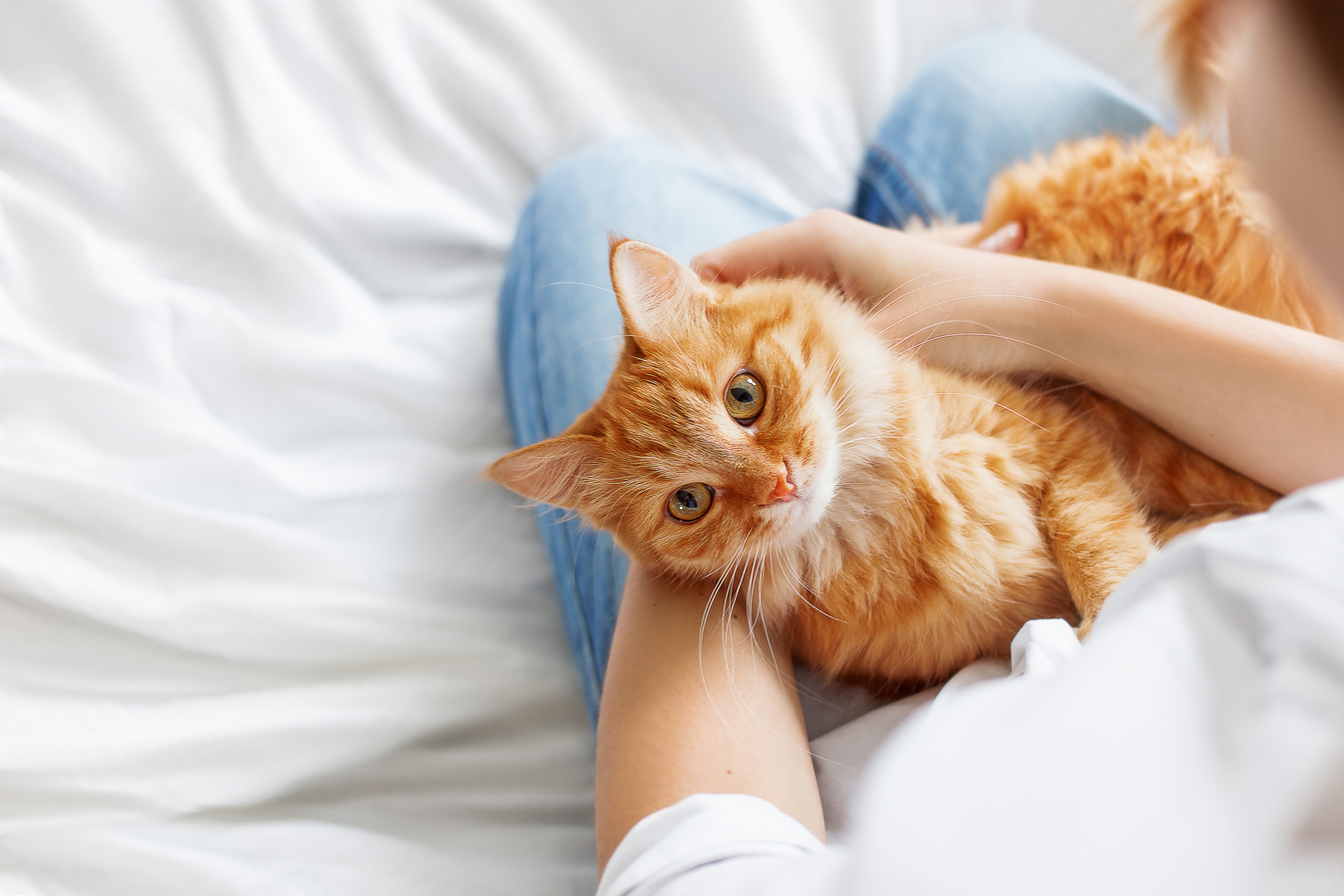 Cat Owners Are Revealing Nicknames for Their Pets—and Internet Can't Cope