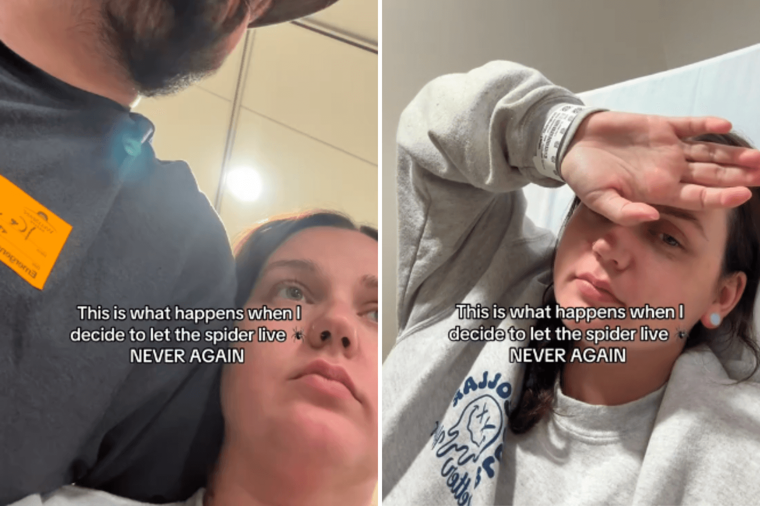 Woman Decides To Let Spider Live, Has Instant Regret: 'Never Again'