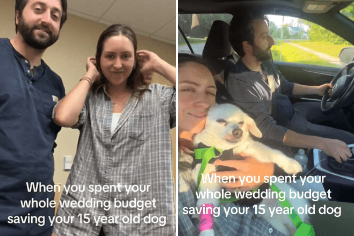Couple Save for Wedding Then Senior Dog Got Sick—They Had To Make A Choice