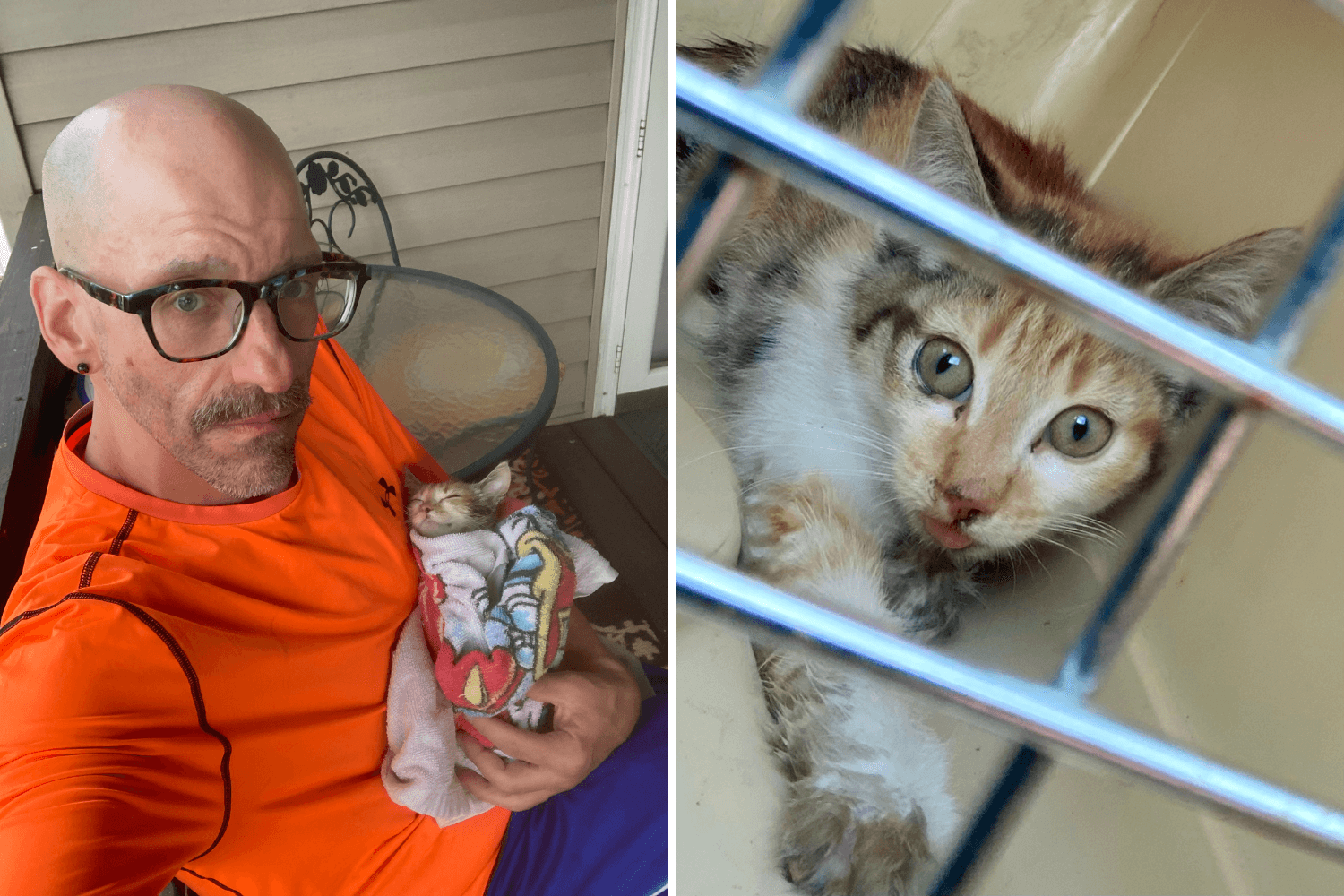 Man Finds Kitten 'Baking' in Walmart Lot Heat—so He Got To Work