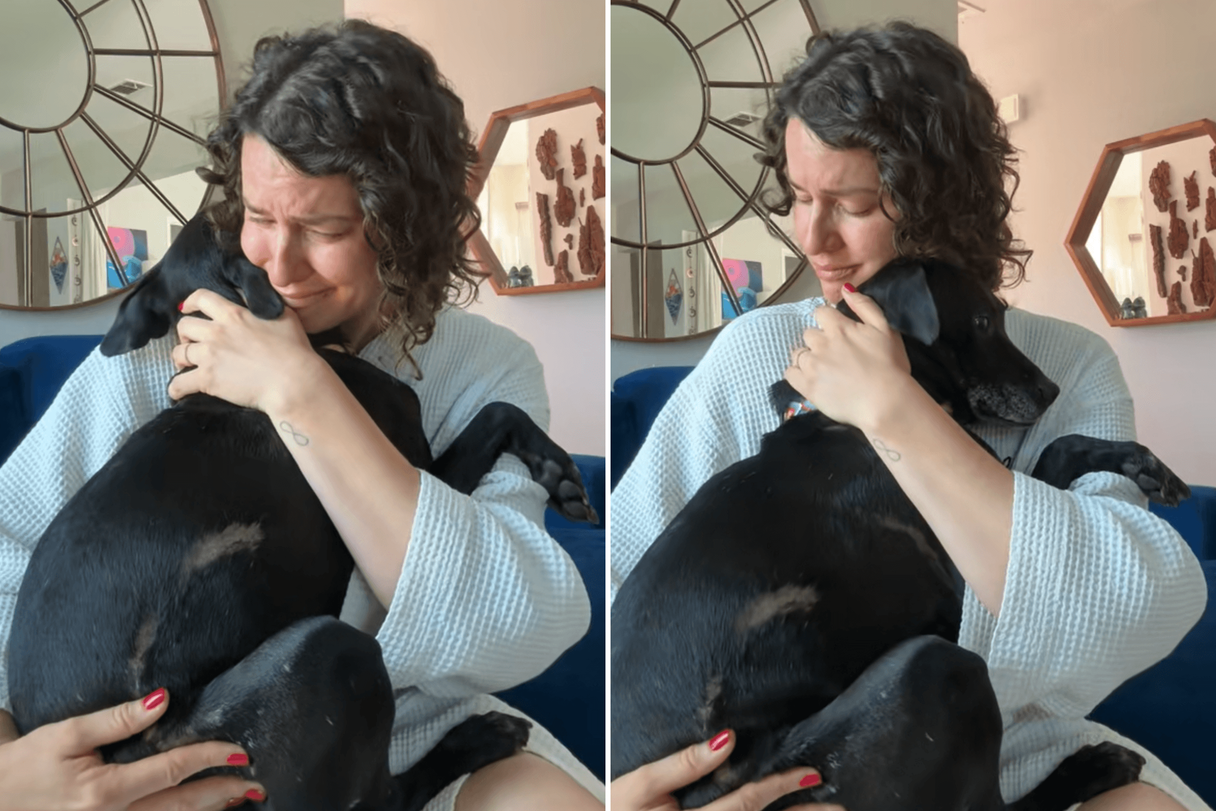 Three-Legged Foster Dog Found Covered in Scars, the Reason Breaks Hearts