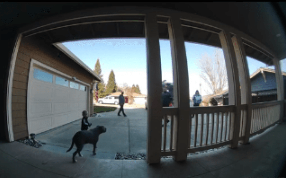 Doorbell Cam Captures Toddler's Hilarious Escape—With Loyal Dog by His Side