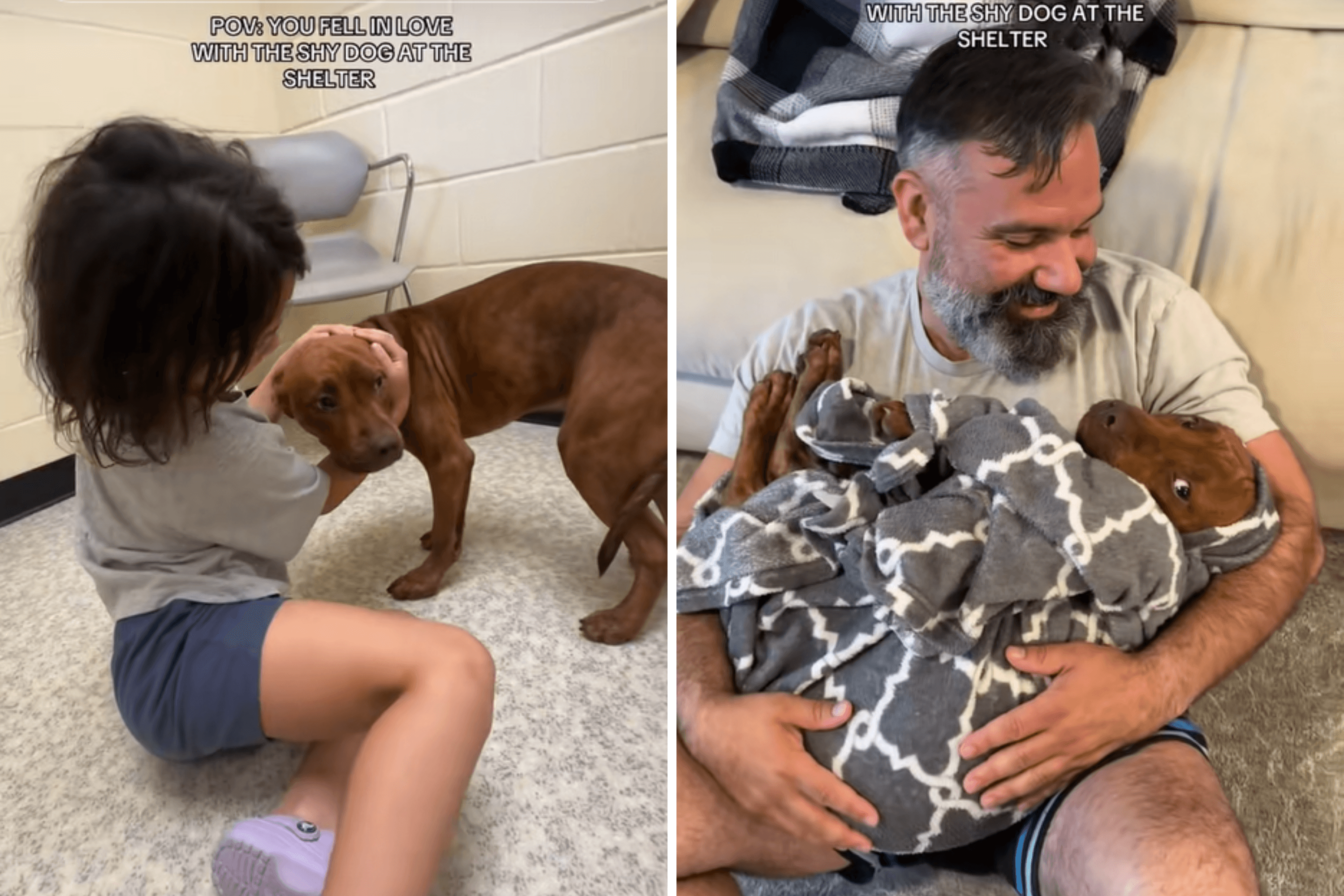 Little Girls Fall in Love With the "Shy" Dog at Shelter—The Rest Is History