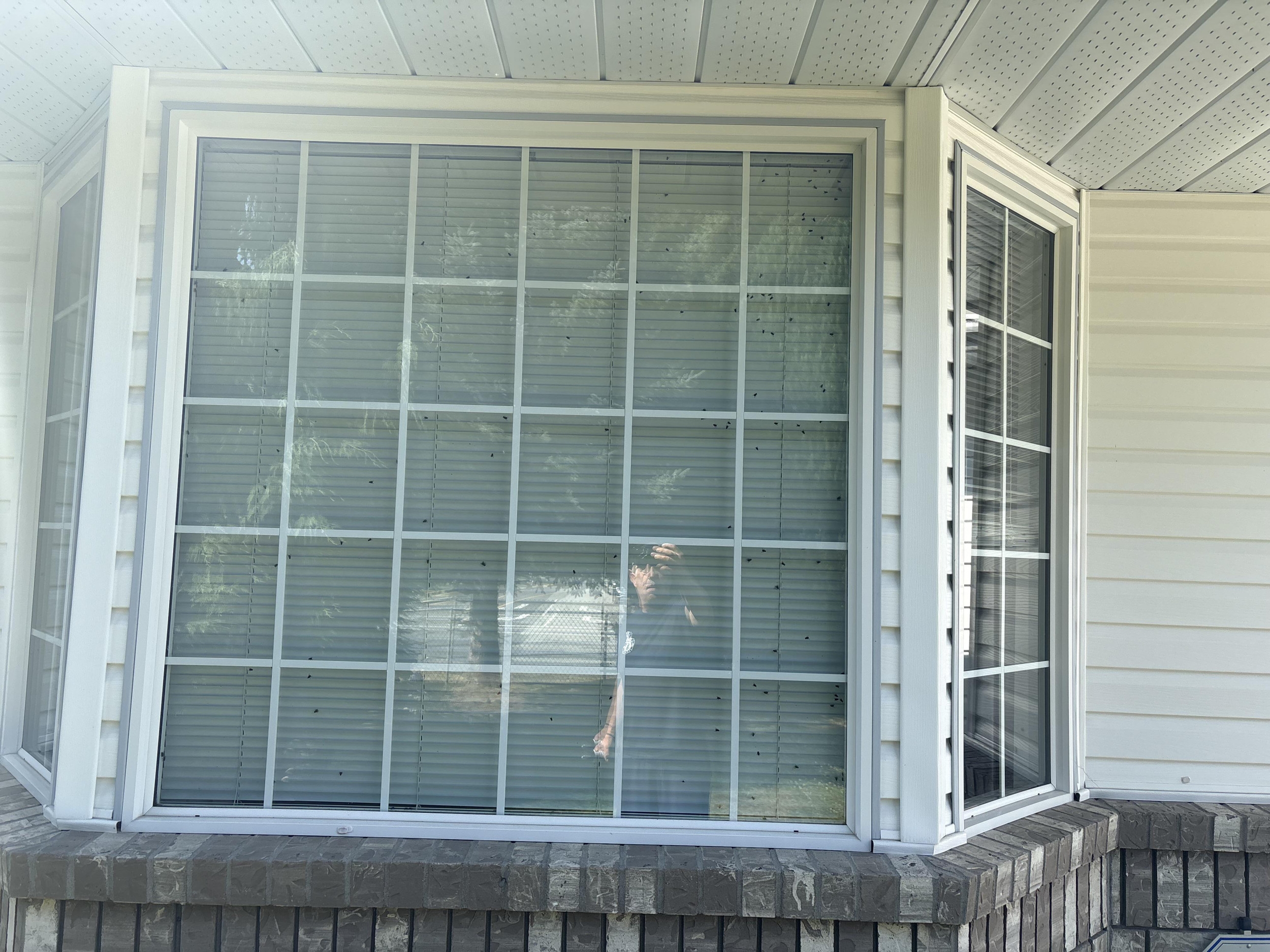 Hundreds of Flies Seen Inside Home, Then Neighbor's Worst Fears Confirmed