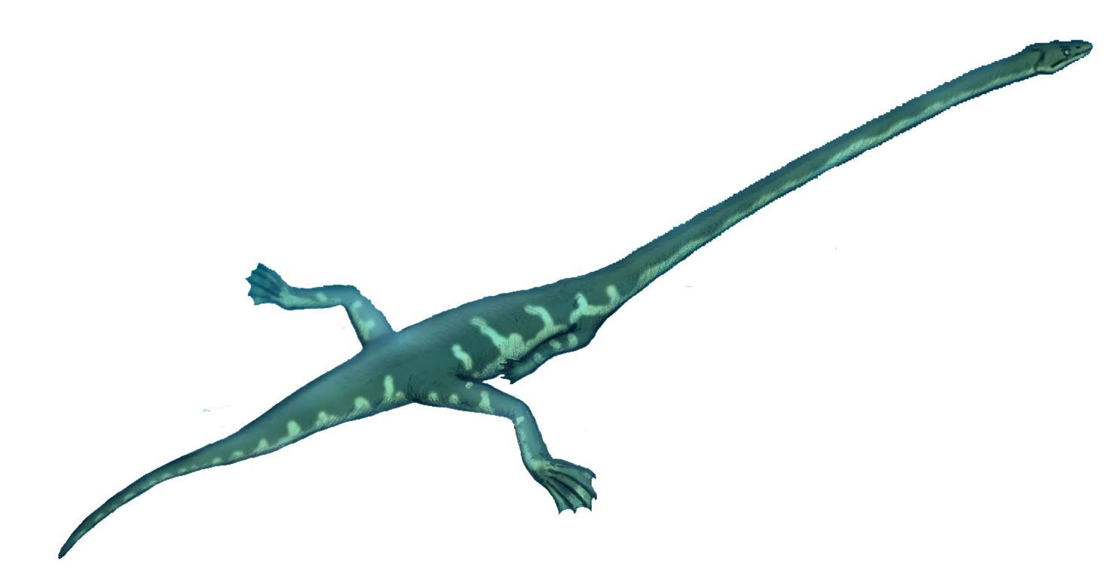 New Species of Reptile Named After Discovery of 'Extremely Rare' Fossil