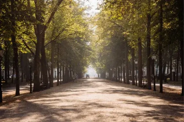 Why this Dutch city should be on every agent's radar