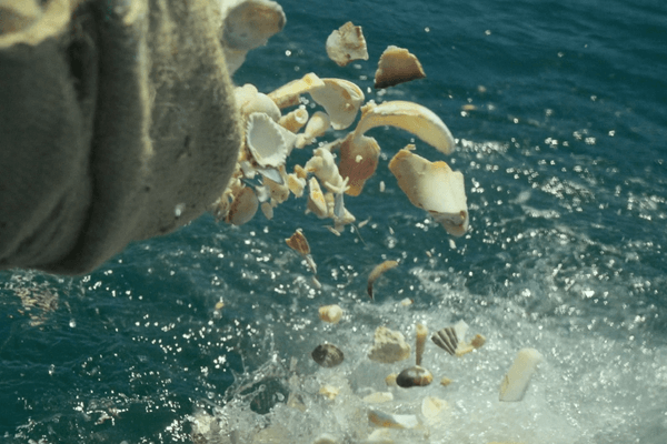 Costa Rica champions ocean protection with Nasa collaboration