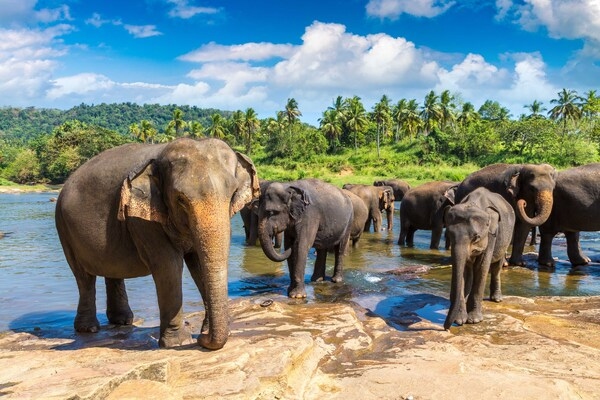 Just Go! Holidays launch first ever overseas sporting tours