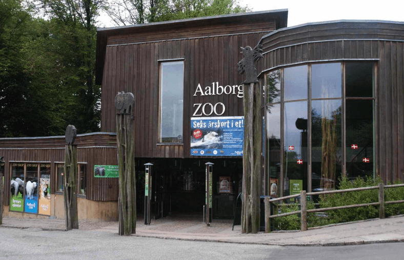 Danish Zoo Draws Criticism After Asking People to Donate Their Unwanted Pets as Food for Its Predators
