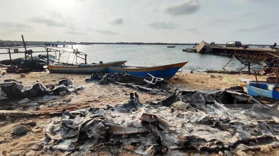 Only 4.6% of Gaza's Cropland Remains Usable: UN Assessment