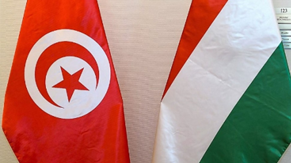 المجر تخصص 250 منحة لفائدة الطلبة التونسيين