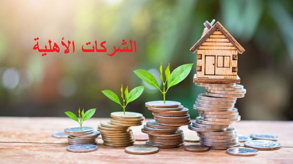 نابل: إحداث 14 شركة أهلية في اختصاصات مختلفة