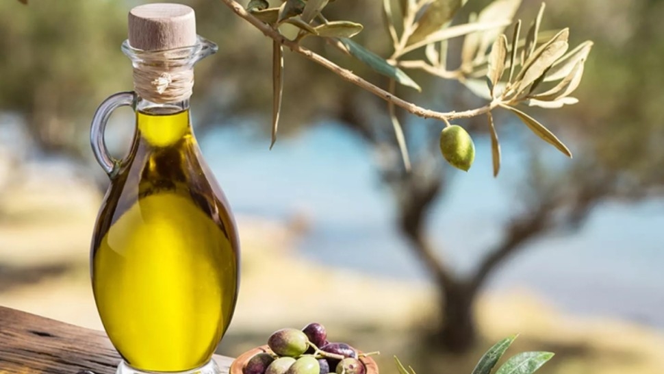 الزيت البيولوجي التونسي ينفذ إلى السوق الأمريكية والفرنسية بعلامة محلية من جرجيس