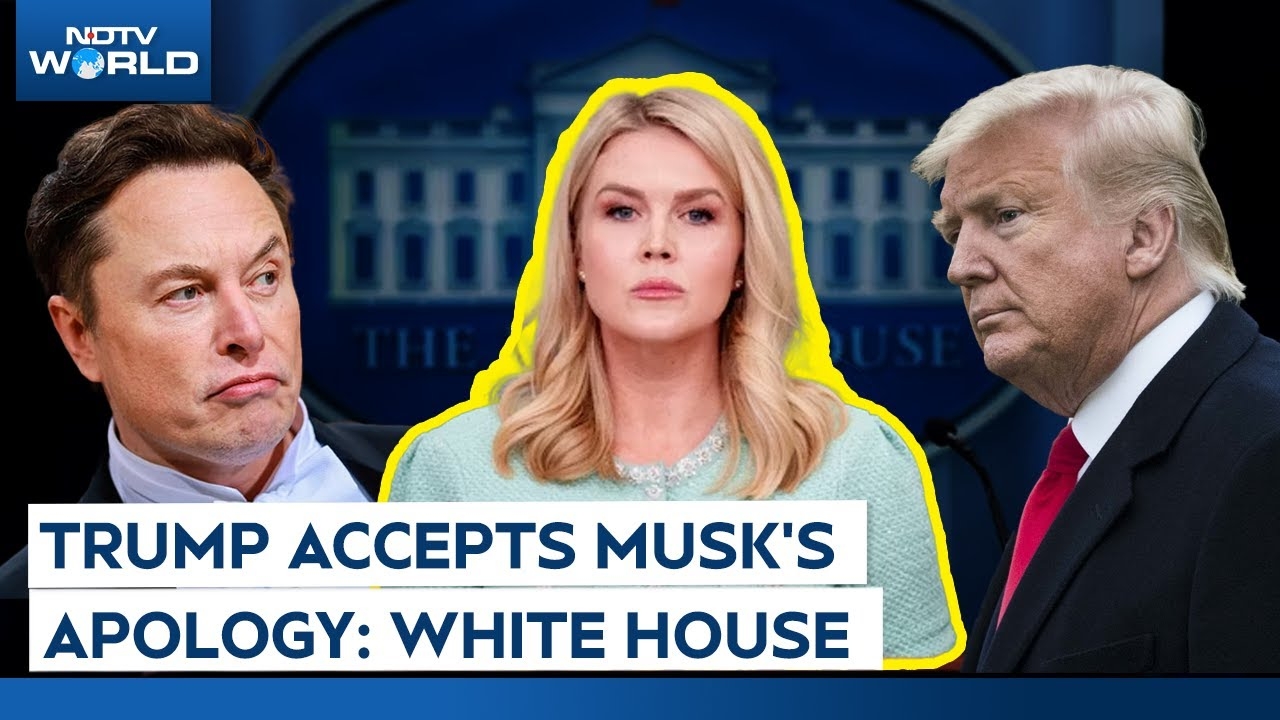 Karoline Leavitt Says Trump Is Appreciative of Musk's Apology