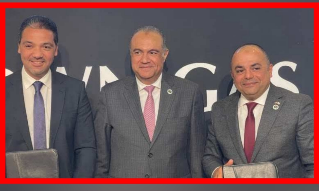 إيجاس تتعاون مع سيمنس لتعزيز حلول الطاقة في مصر