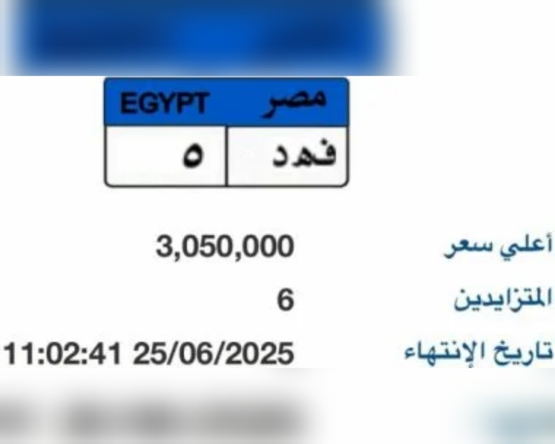 سعر لوحة «فهد-5» يتجاوز 3 ملايين جنيه في مزاد بوابة مرور مصر الإلكترونية