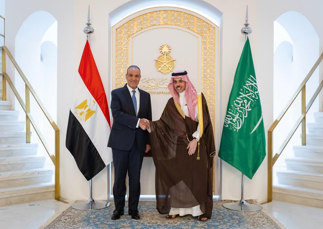قريبًا.. تدشين مجلس تنسيق أعلى مصري سعودي
