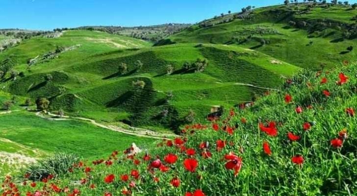الاردن: أجواء معتدلة الثلاثاء والأربعاء وحارّة الخميس