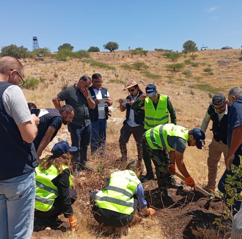 وفد من بنك التنمية الألماني يزور مشروع زراعة شجر الخروب في كفربيل