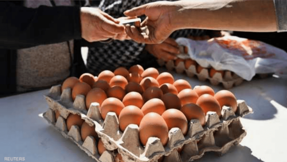 أزمة صحية.. لماذا سُحبت 1.7 مليون بيضة من الأسواق الأميركية؟
