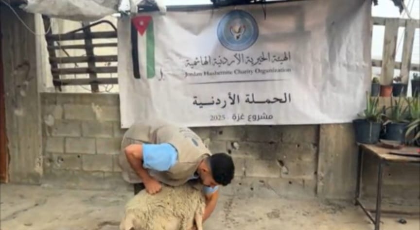 'الخيرية الهاشمية' تؤكد استمرار نشاطاتها الإغاثية في غزة