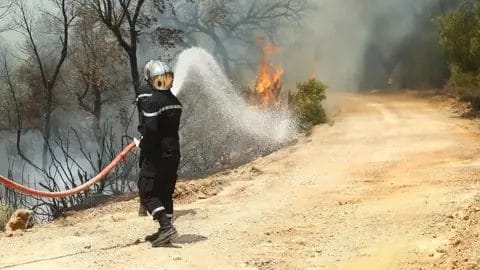 تونس في مواجهة النيران وسط موجة حرّ قاتلة- فيديو