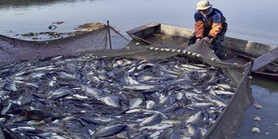 البلطي 75 والمكرونة السويسي 80 جنيه النهاردة