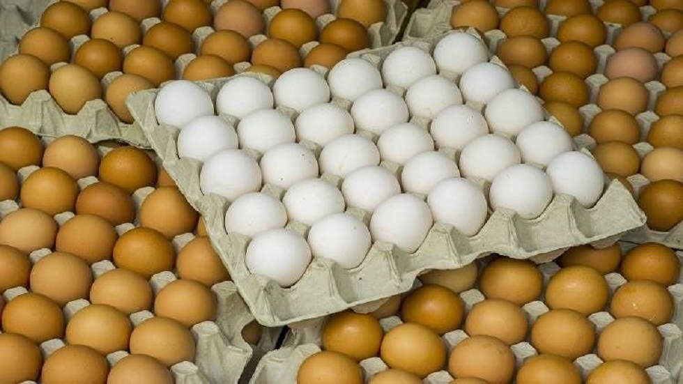 طبق البيض البلدي ارتفع 2 جنيه وربع : اخبار الاحمر والابيض