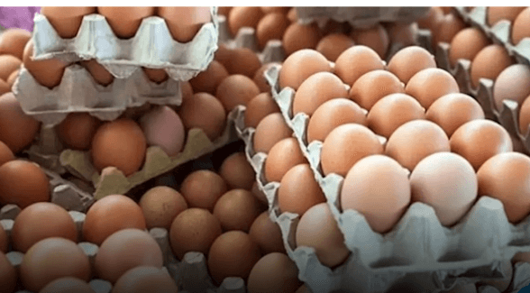 البيض نزل 2 جنيه وربع مطلع الاسبوع : حلو