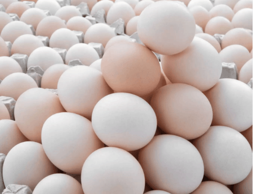 البيض عمل الصح النهاردة: نزل 5 جنيه