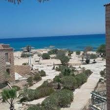 سمعت عن علم الروم : بكره تسمع وتفرح زي فرحتنا بأي أستثمار عربي كبير