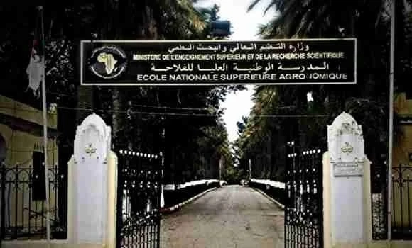 المدرسة الوطنية العليا للفلاحة تستحدث حظيرة ذكية للمحافظة على سلالة الأغنام "الحمرا"
