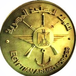 القوات المسلحة سقوط طائرة تدريب أثناء تنفيذ أحد الأنشطة التدريبية