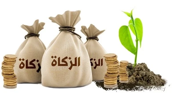 زكاة الفطر الافتاء يجوز إخراجها عن الصديق أو الجار وعن أولاده وزوجته