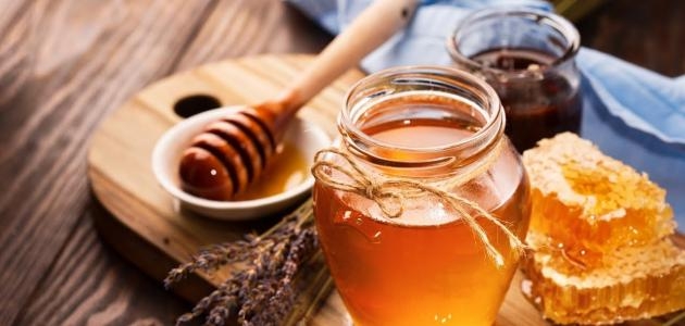 رئيس قسم بحوث النحل إنتاج مصر من العسل بلغ 30 ألف طن العام الماضي