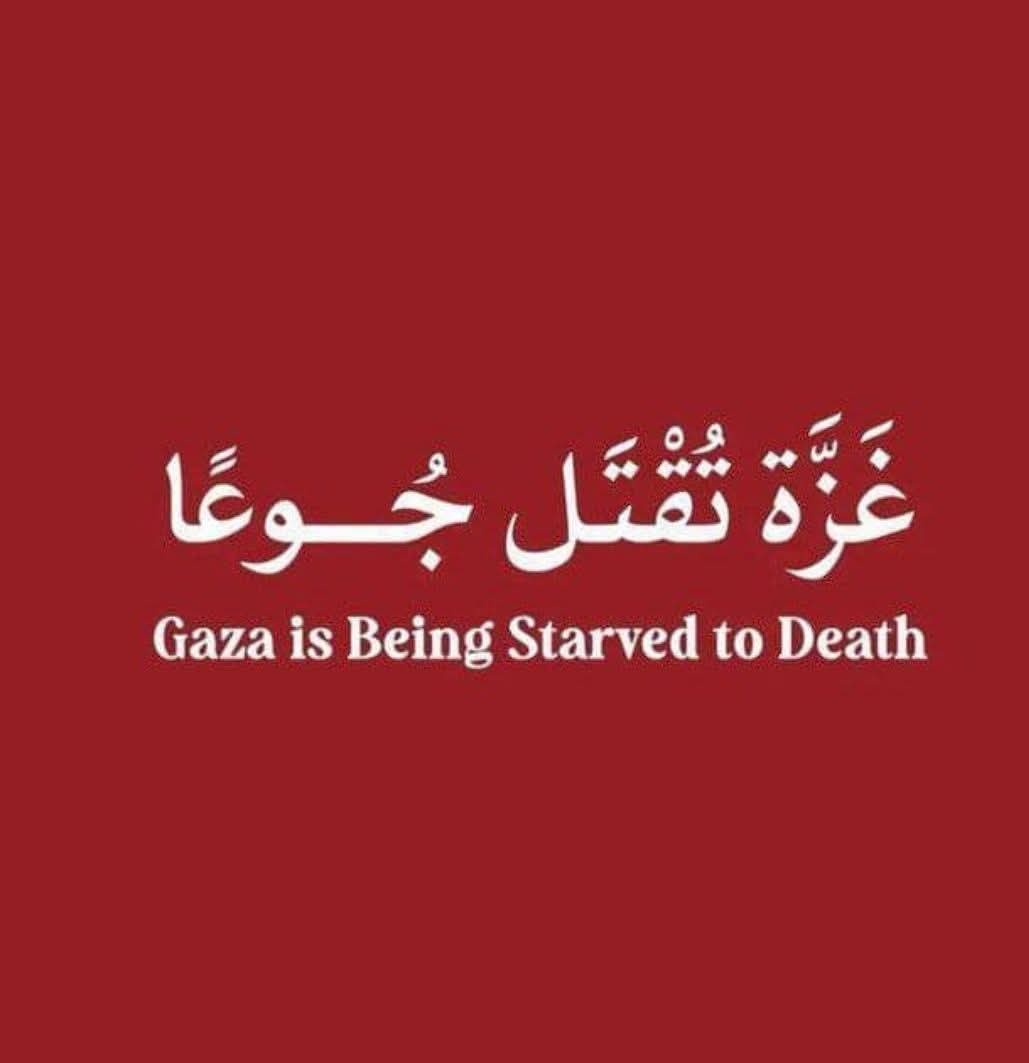 غزة… وآيات الصبر
