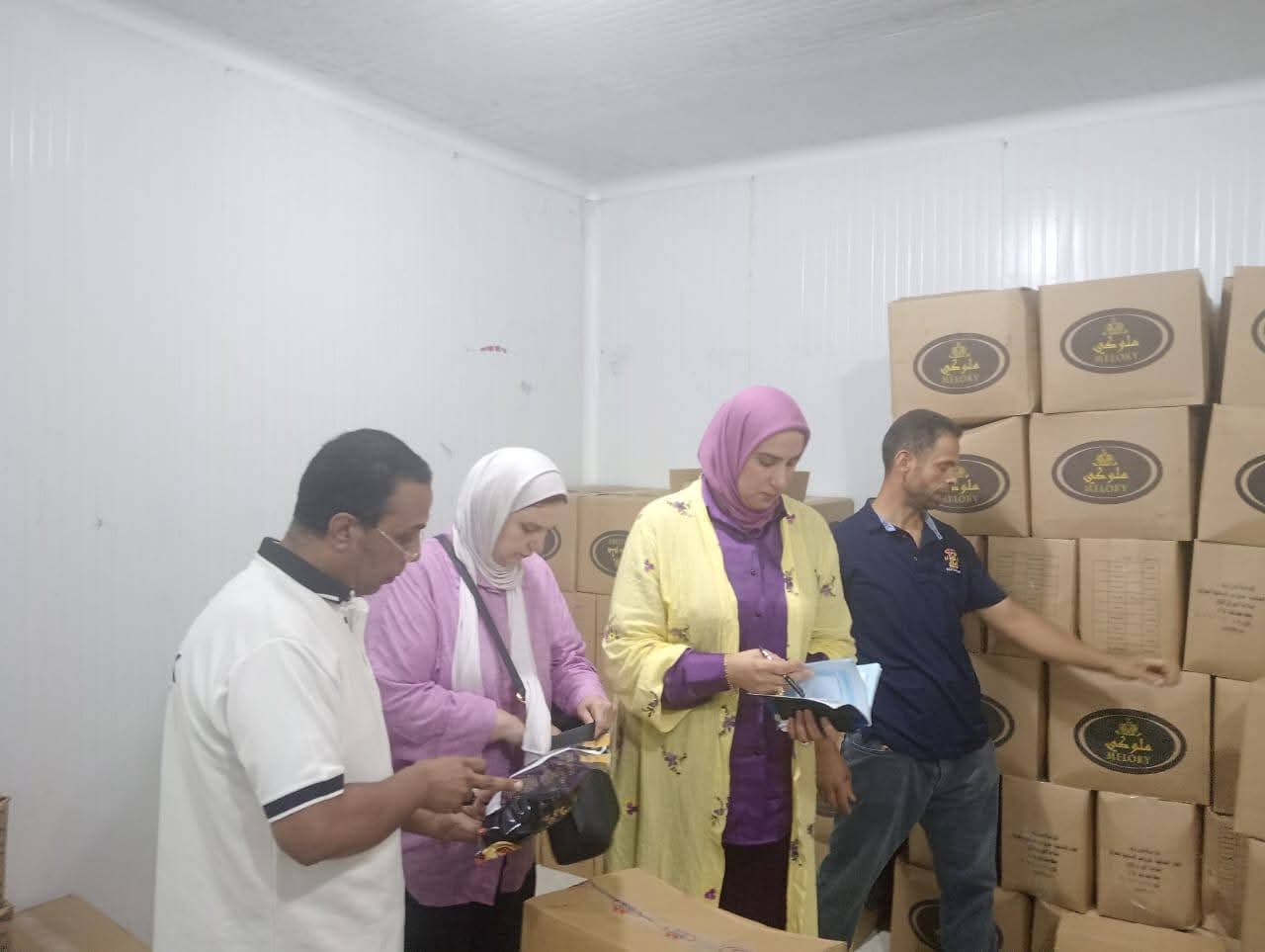 محافظ الدقهلية: ضبط 4 طن لحوم ومصنعاتها غير مطابقة للمواصفات بطلخا