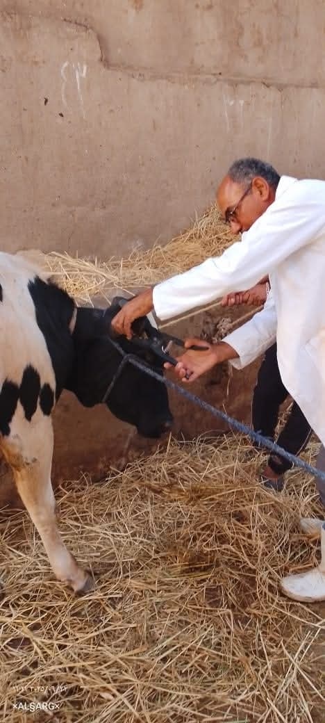 محافظ الفيوم يتابع جهود وأنشطة مديرية الطب البيطري خلال شهر يونيو الماضي‎
