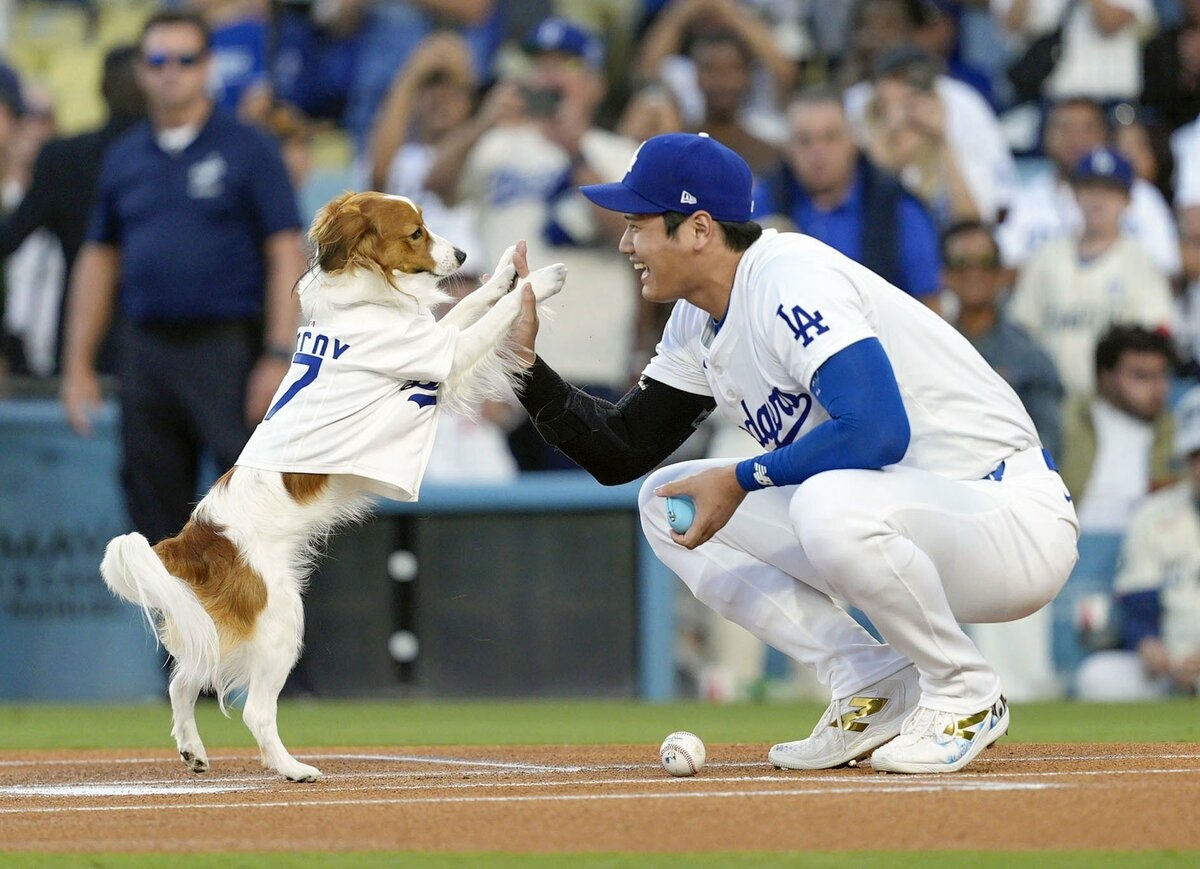 Baseball: Ohtani announces children's book about his dog