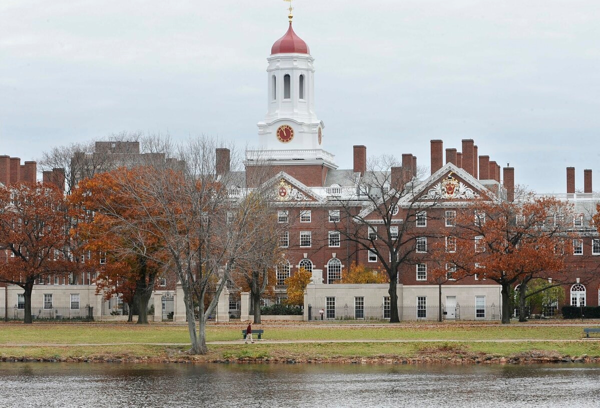 Harvard scientists say research could be set back years after funding freeze