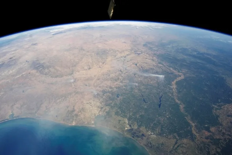 Was the Emergence of Intelligent Life on Earth Just a Fluke? Some Scientists Think Not