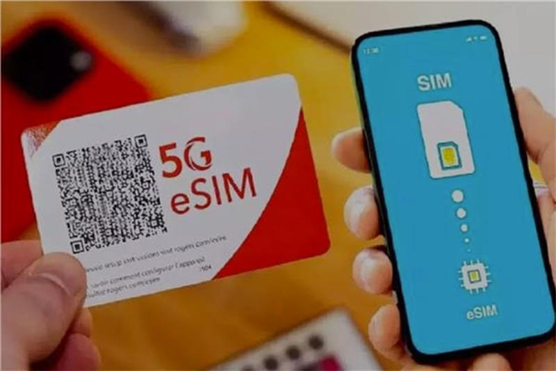 Explainer: All you need to know about eSIM - Economy