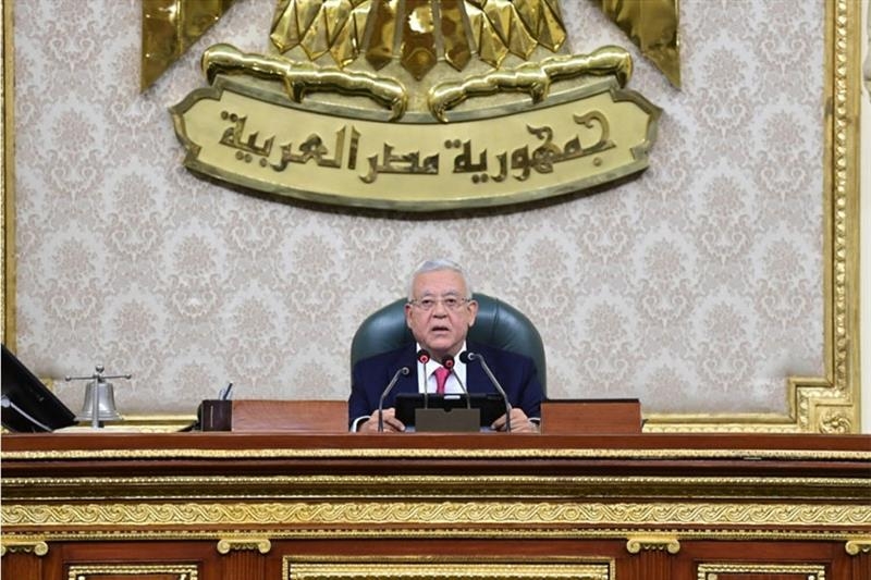 Palestinian cause not population, geographical issue but struggle to restore legitimate rights: Egypt parliament