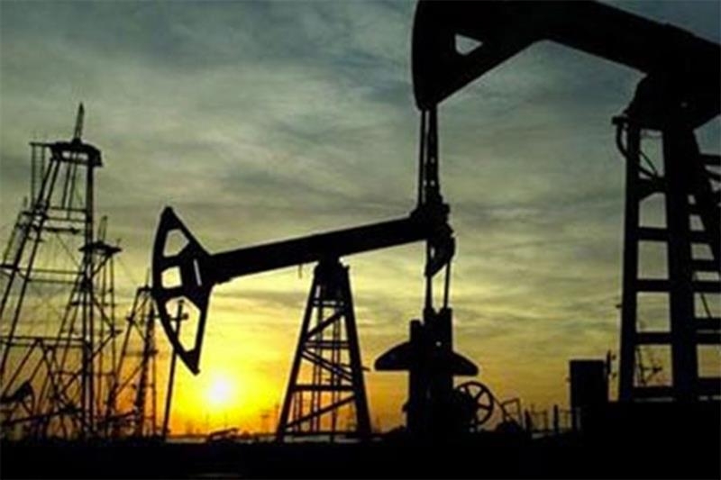 Pre-drilling estimates in Gulf of Suez indicate 8 mln barrels of crude oil reserves: Petroleum ministry - Energy
