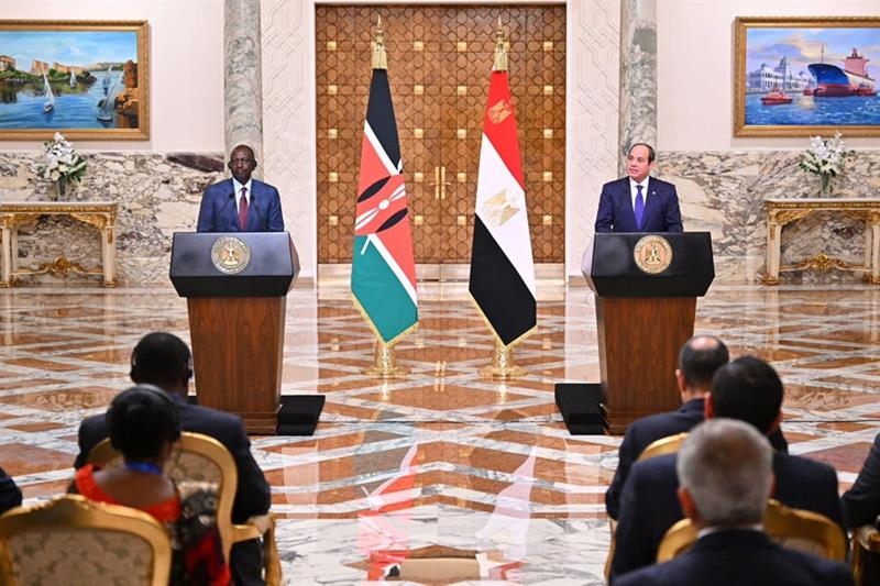 Republished: Palestinian displacement would be an injustice Egypt cannot participate in: President El-Sisi