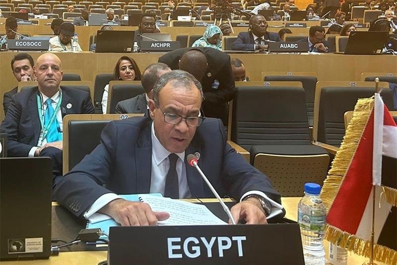 Africa should keep supporting Palestinians, rejecting displacement: FM Abdelatty at AU session - Foreign Affairs