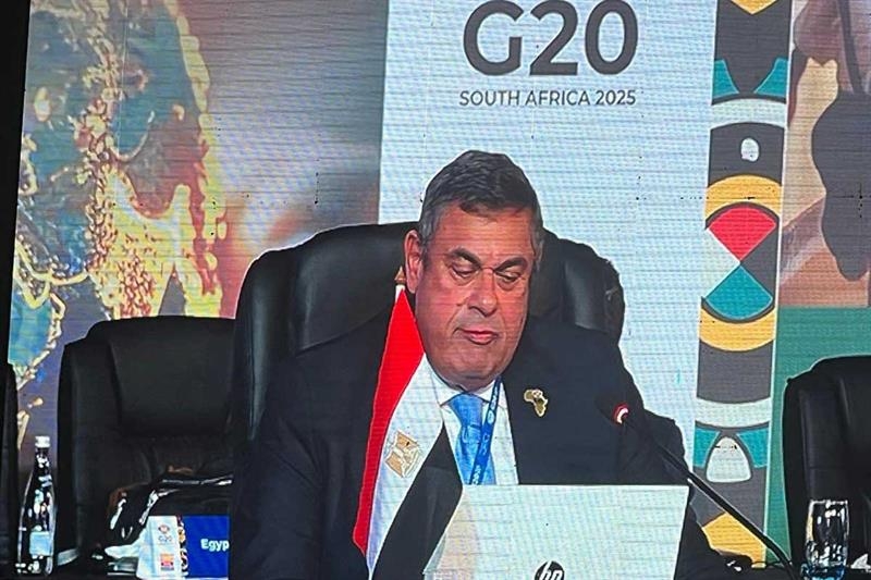 Egypt urges debt-for-climate swaps to accelerate sustainable development in Africa - Foreign Affairs