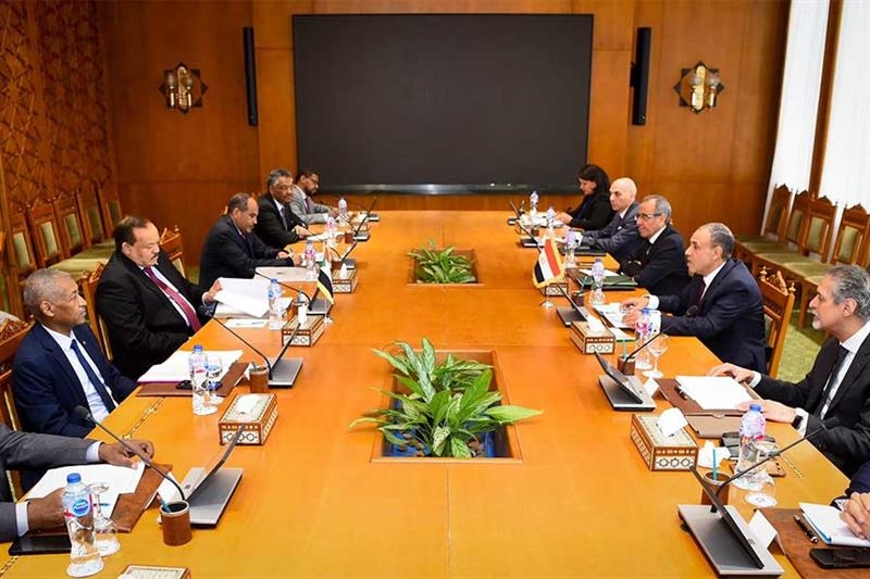 Egypt, Sudan water security are inseparable: Egyptian, Sudanese officials - Foreign Affairs